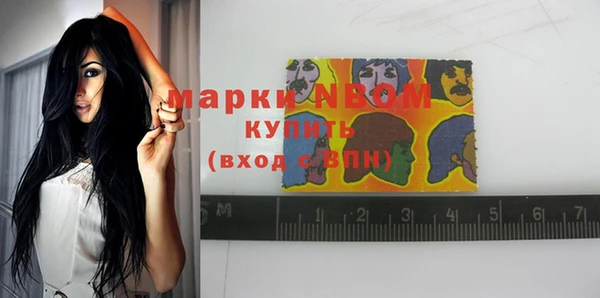 кокс Алексин